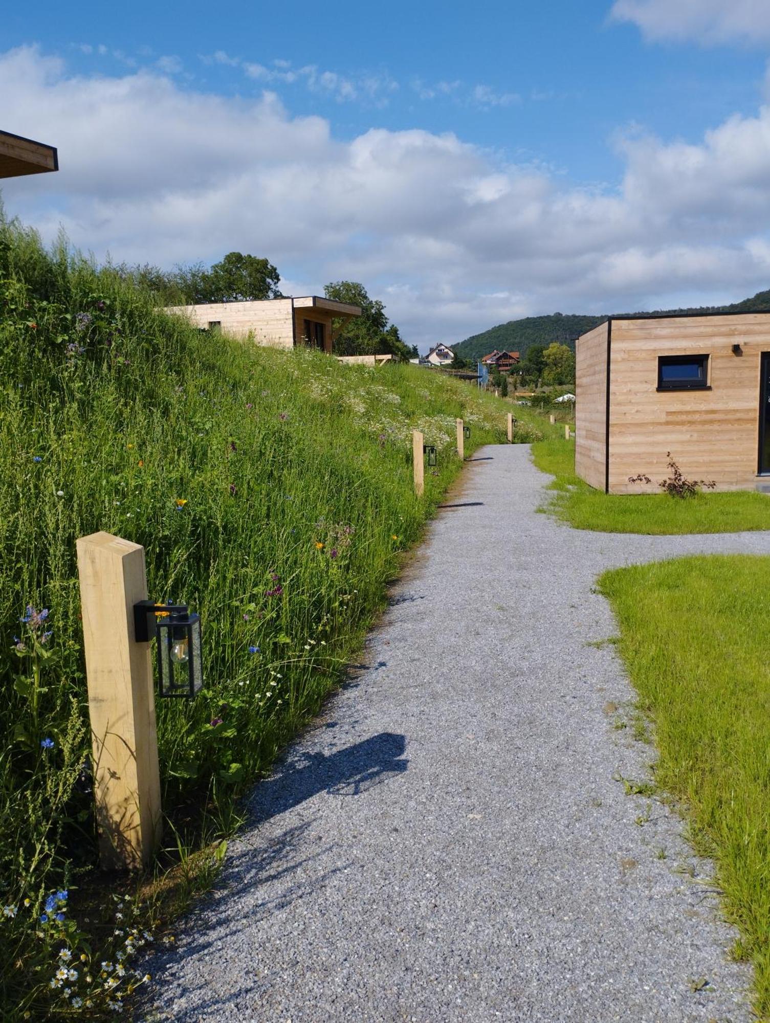 Ferienresort Edersee Gmbh Hemfurth-Edersee Dış mekan fotoğraf